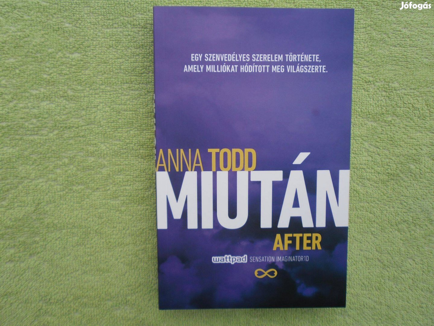 Anna Todd: Miután