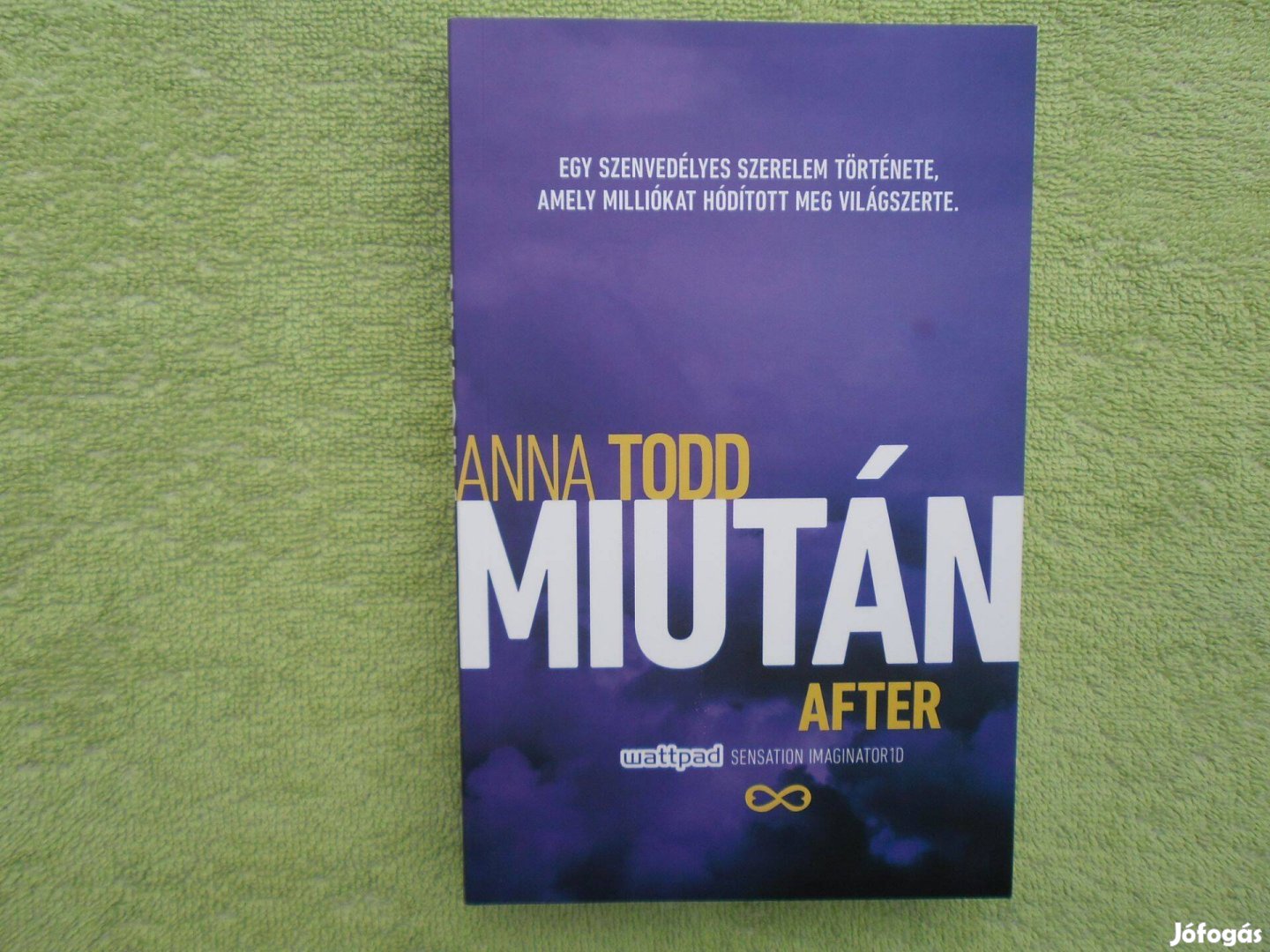 Anna Todd: Miután