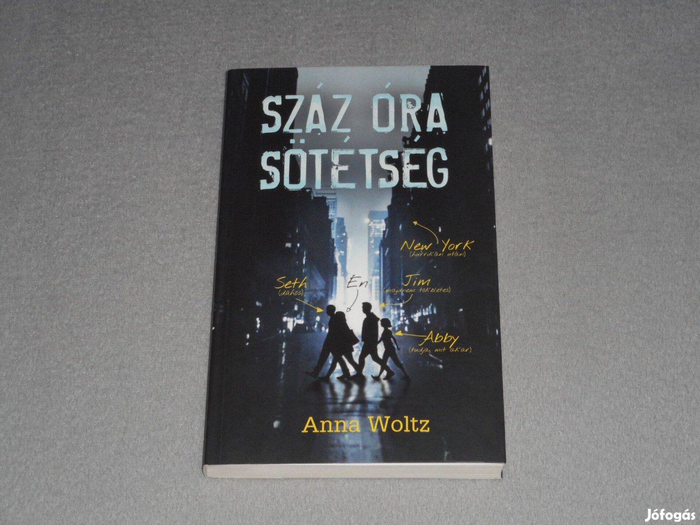 Anna Woltz - Száz óra sötétség