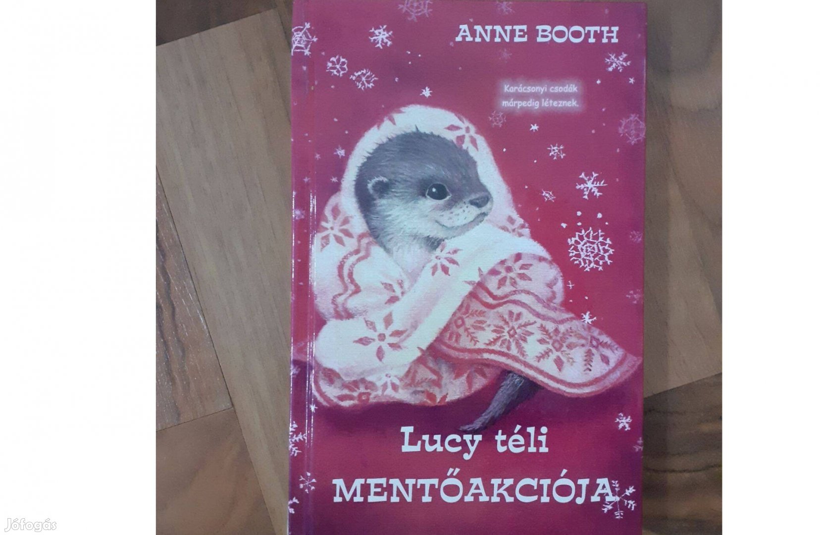 Anne Booth Lucy téli mentőakciója