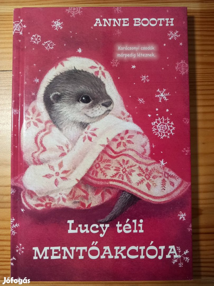 Anne Booth: Lucy téli mentőakciója 