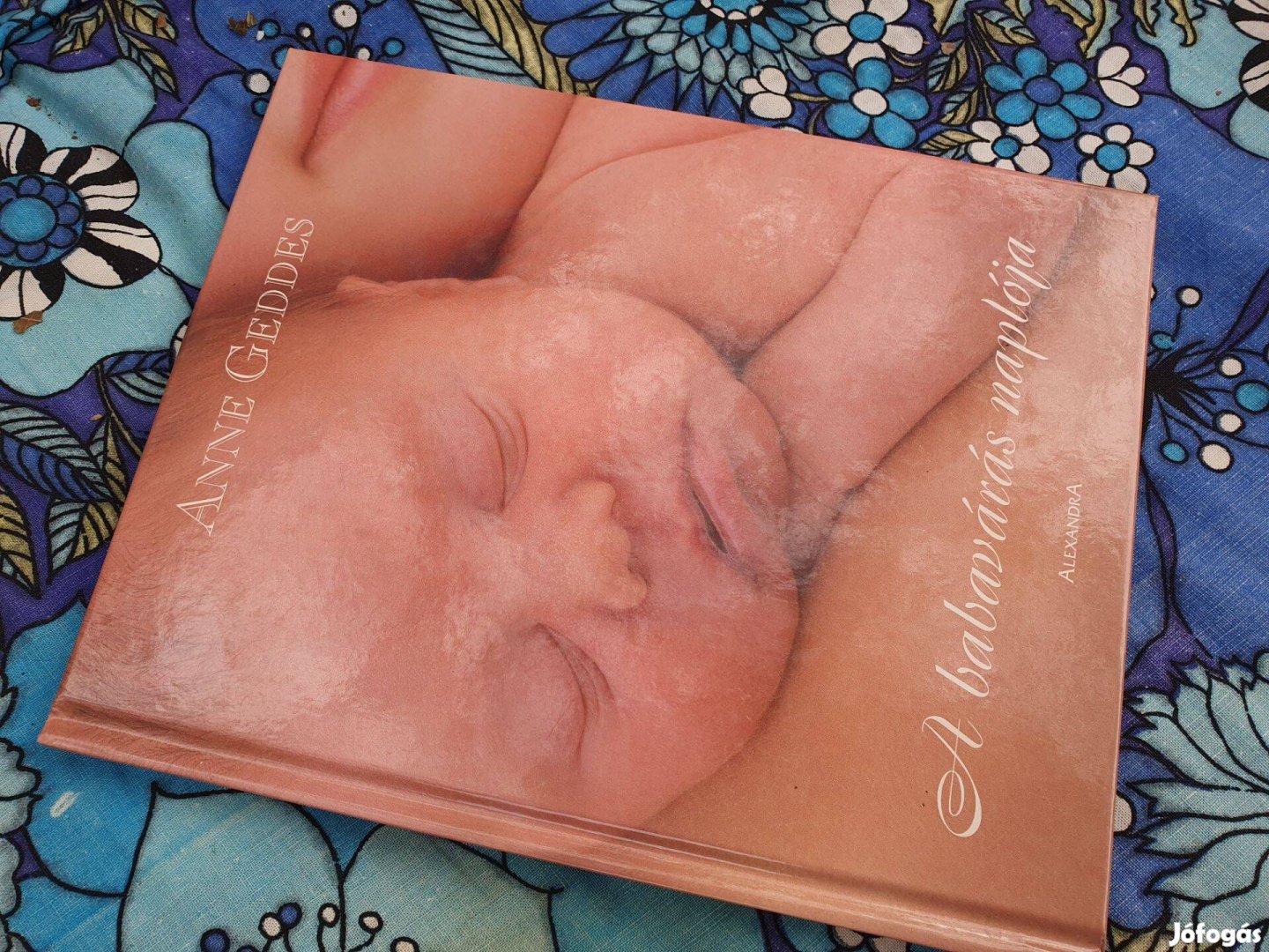 Anne Geddes: A babavárás naplója