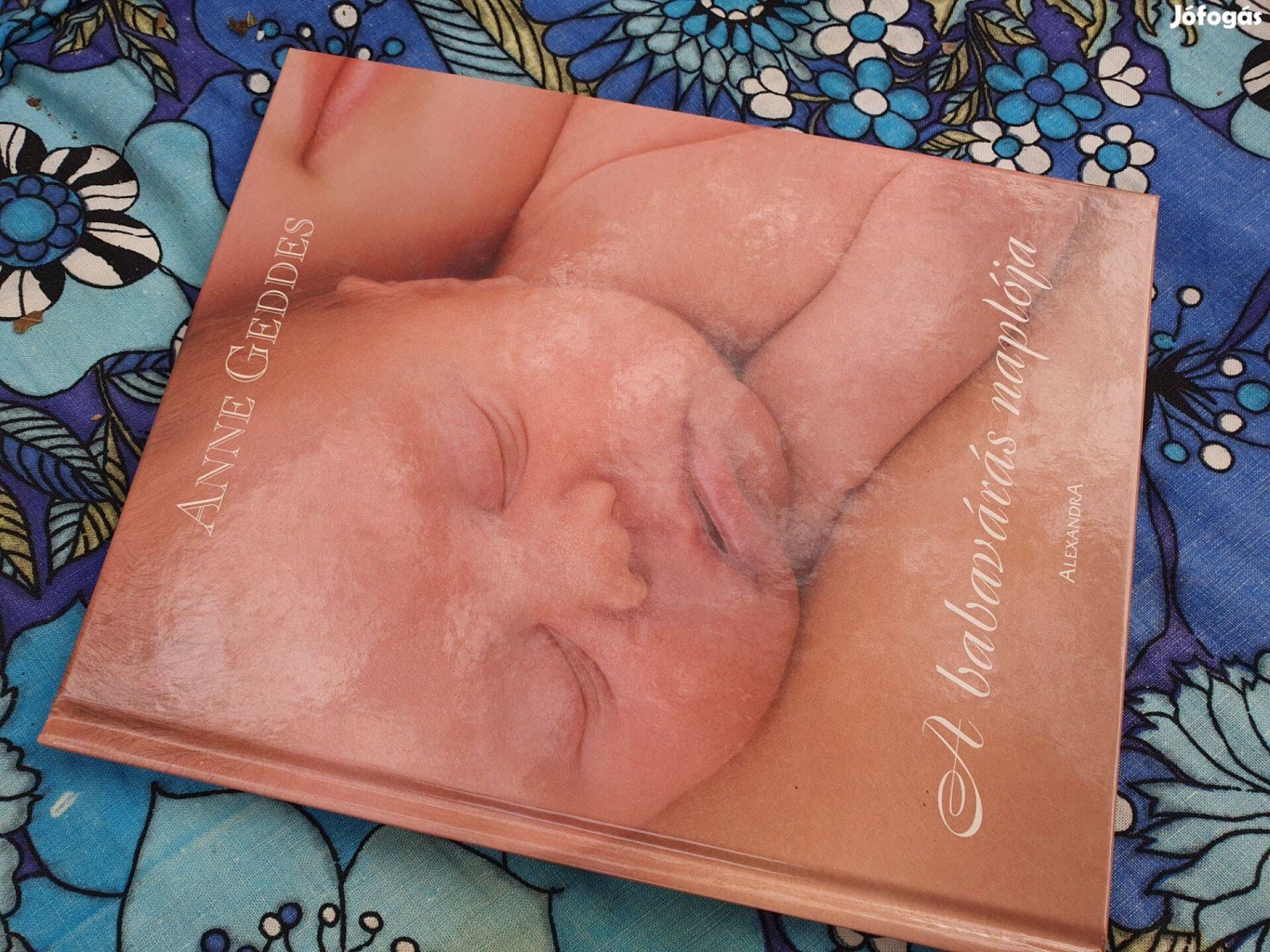 Anne Geddes: A babavárás naplója