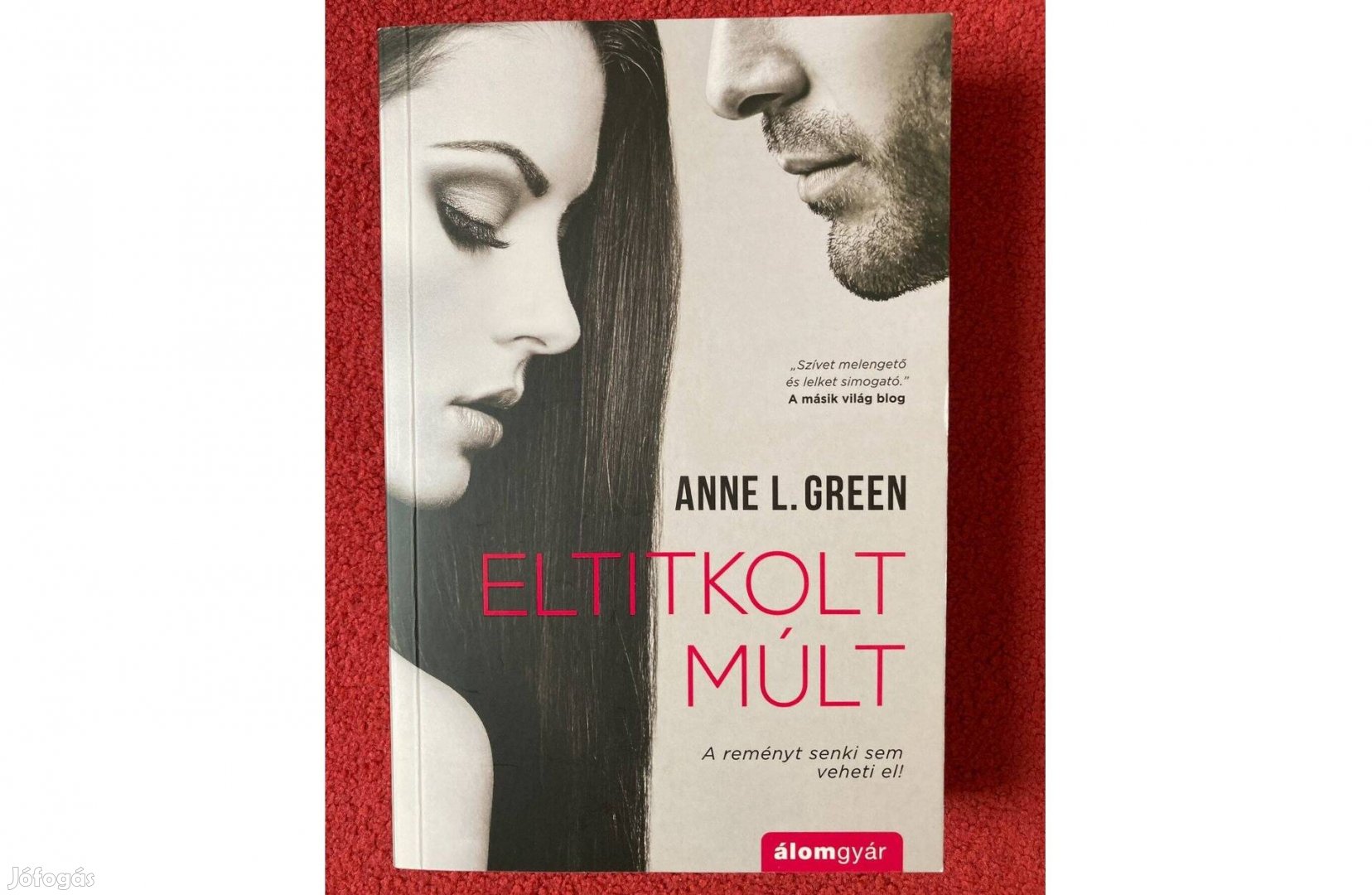 Anne L. Green Eltitkolt múlt