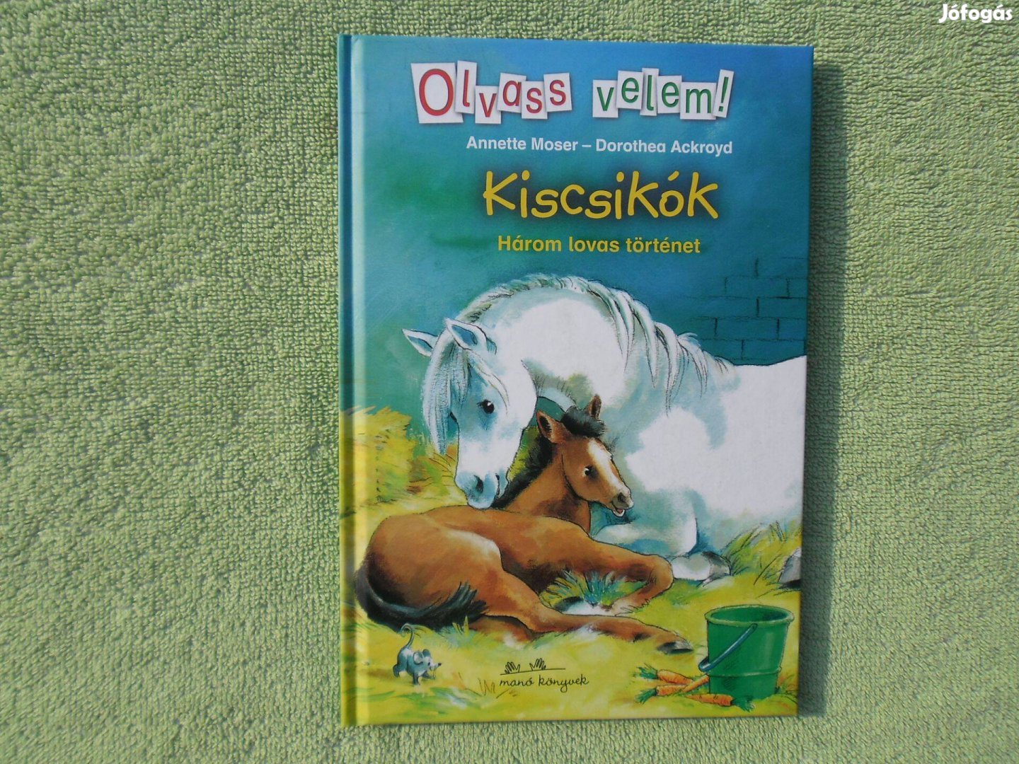 Annette Moser: Kiscsikók /Olvass vele/