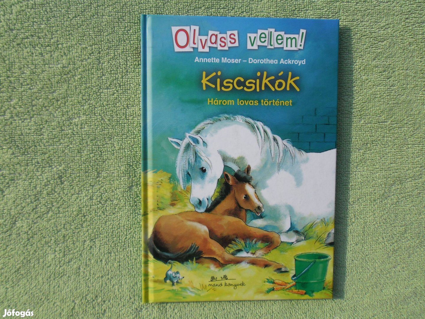 Annette Moser: Kiscsikók /Olvass velem!/