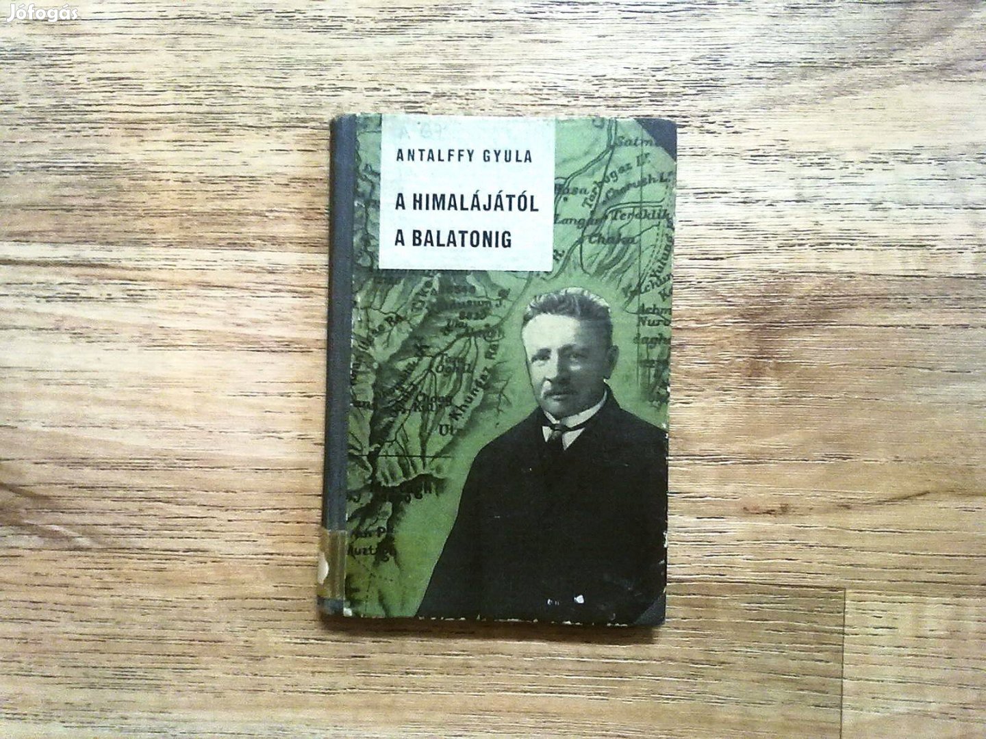 Antalffy Gyula: A Himalájától a Balatonig (Lóczy Lajos élete)