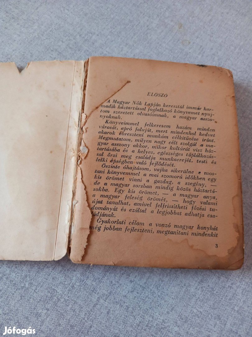 Antik A Magyar Nők Lapja 100 éves kis szakácskönyv és recept füzet