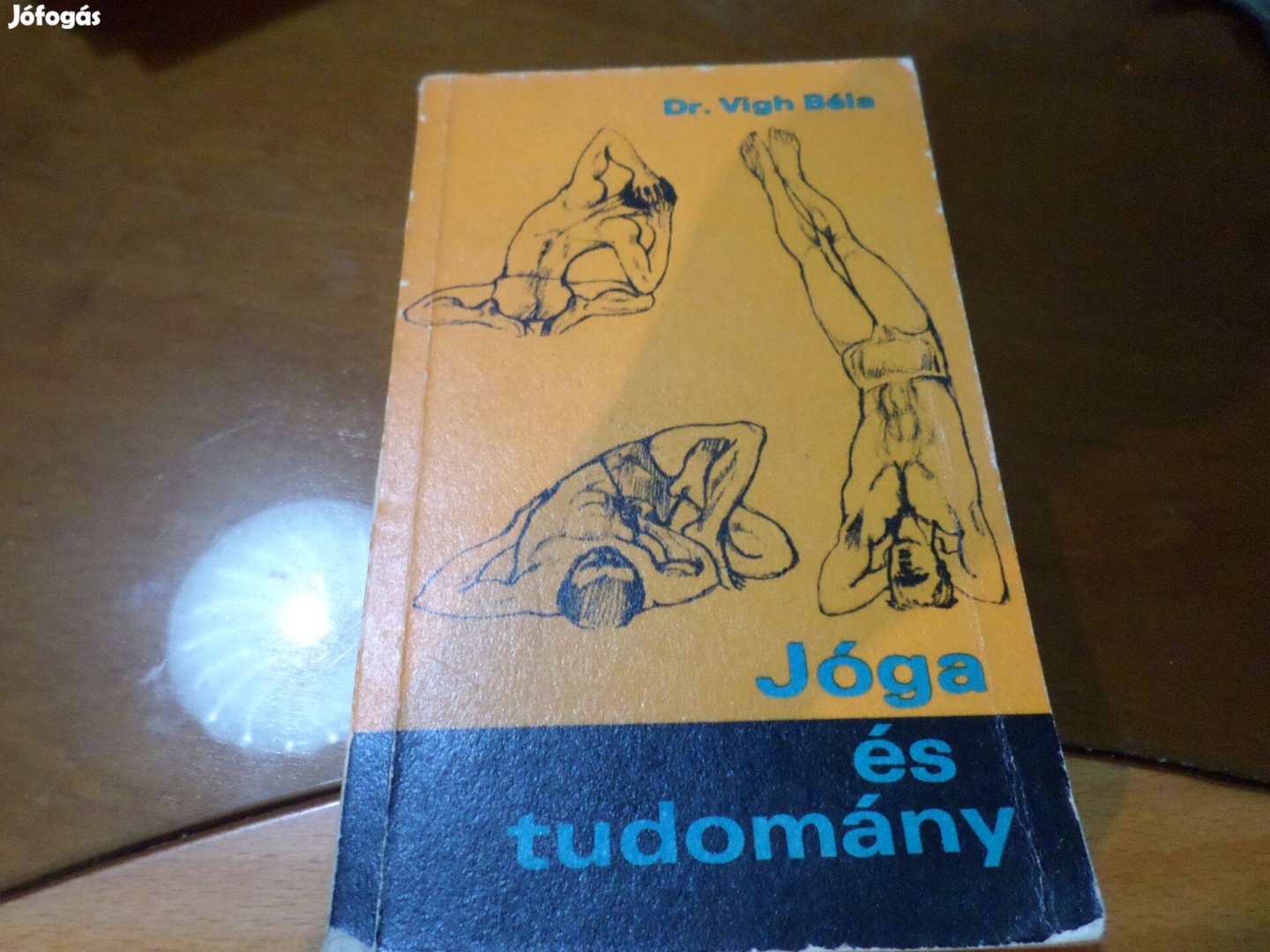 Antik! könyv! Dr. Vigh Béla Joga és tudomány 1972 Szakkönyv