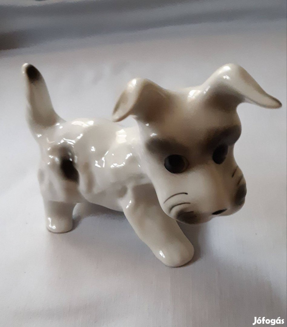 Antik porcelán Fox Terrier kutya!