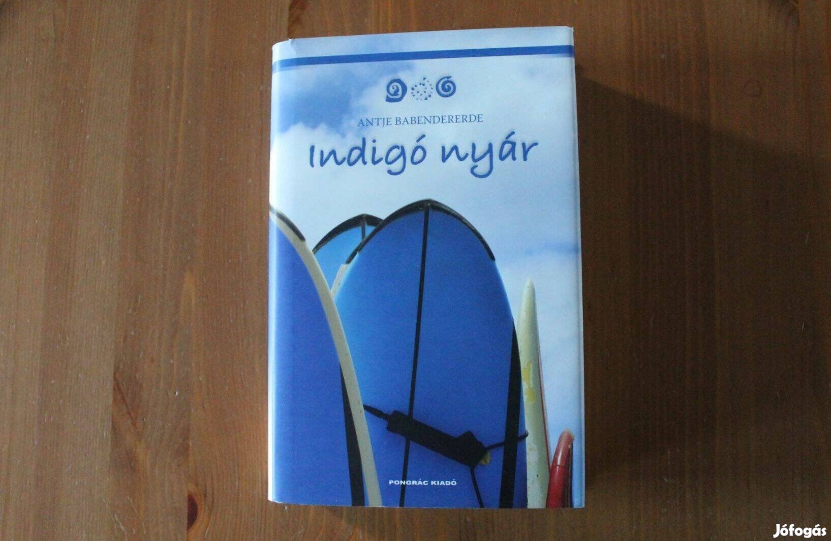 Antje Babendererde - Indigó nyár