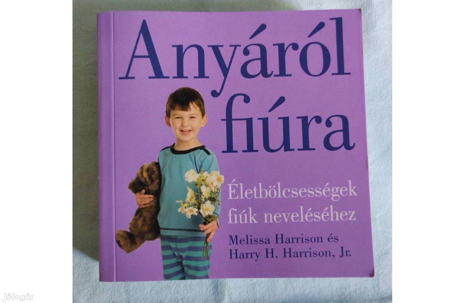 Anyáról Fiúra, Életbölcsességek fiúk neveléséhez- Melissa