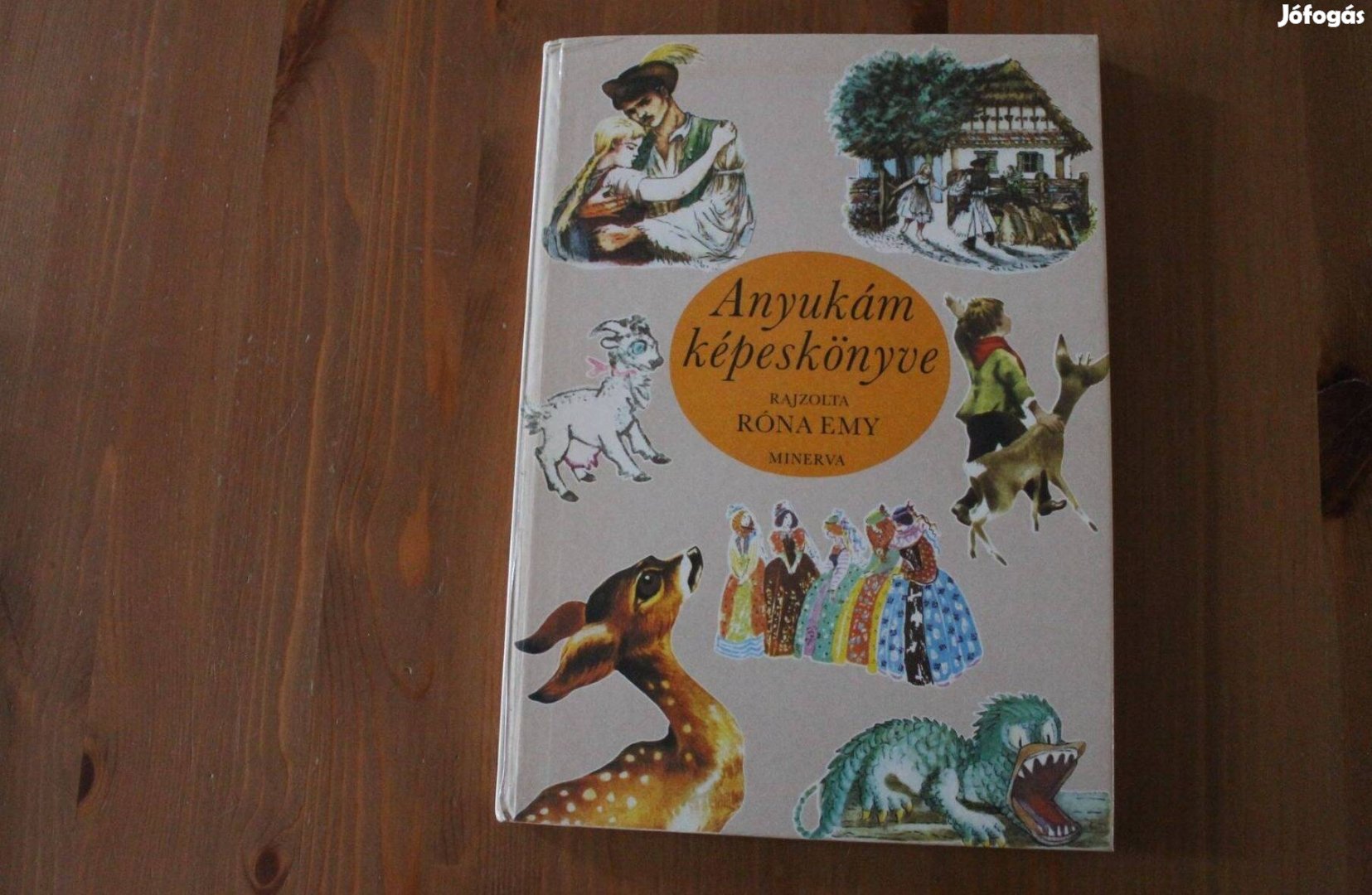 Anyukám képeskönyve ( Gyermek könyv )