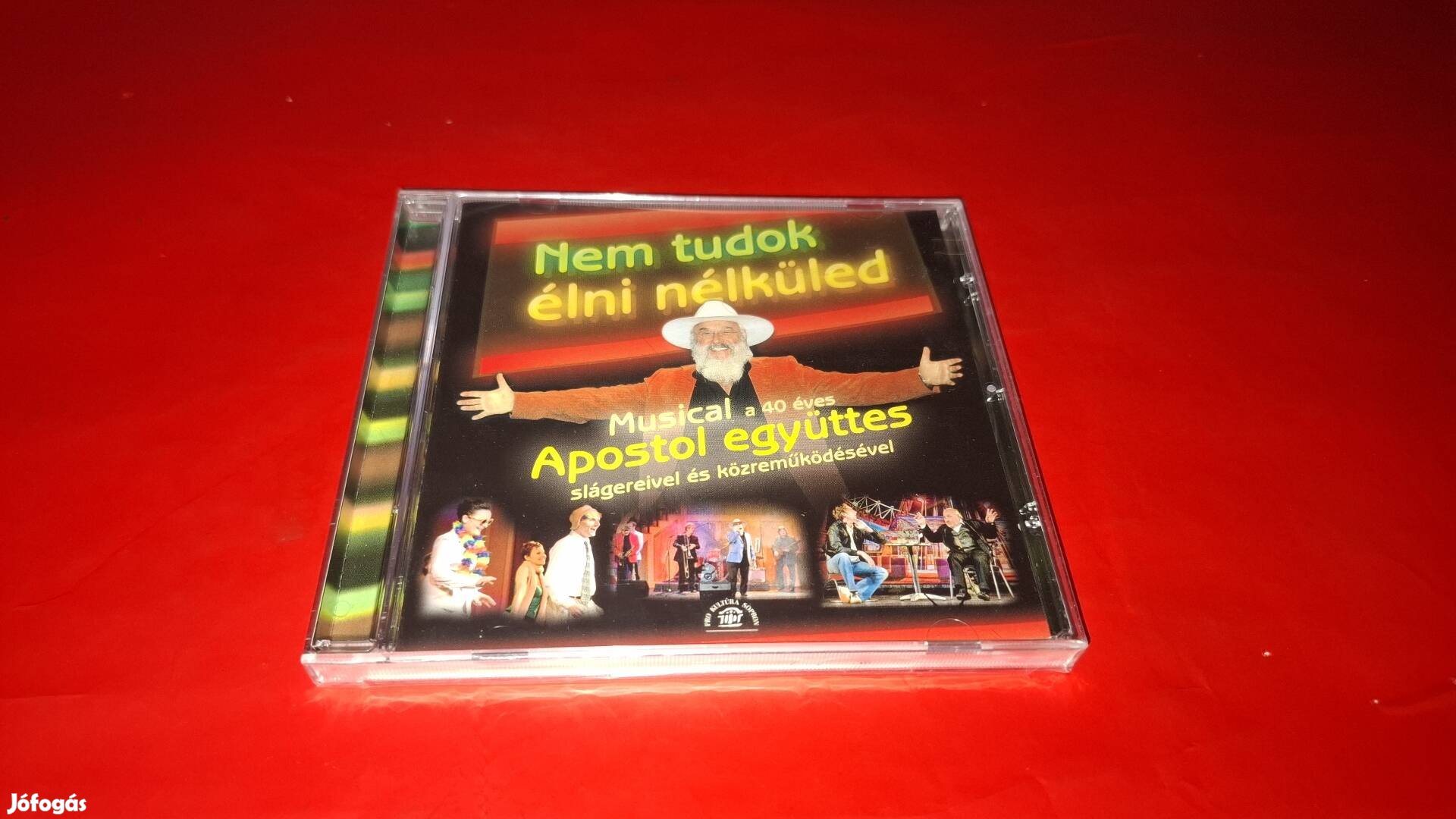 Apostol-Vajda Anikó Nem tudok élni nélküled musical Cd Új