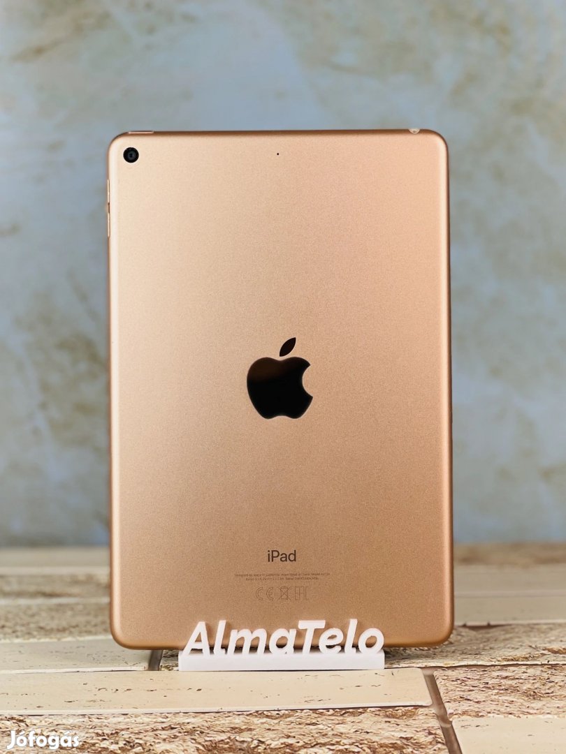 Apple iPad Mini 5 Gen 64 GB Gold