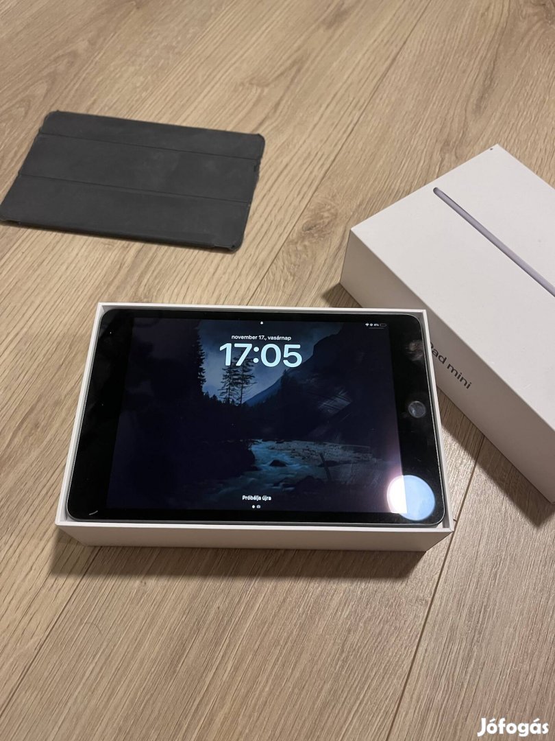 Apple ipad Mini 5