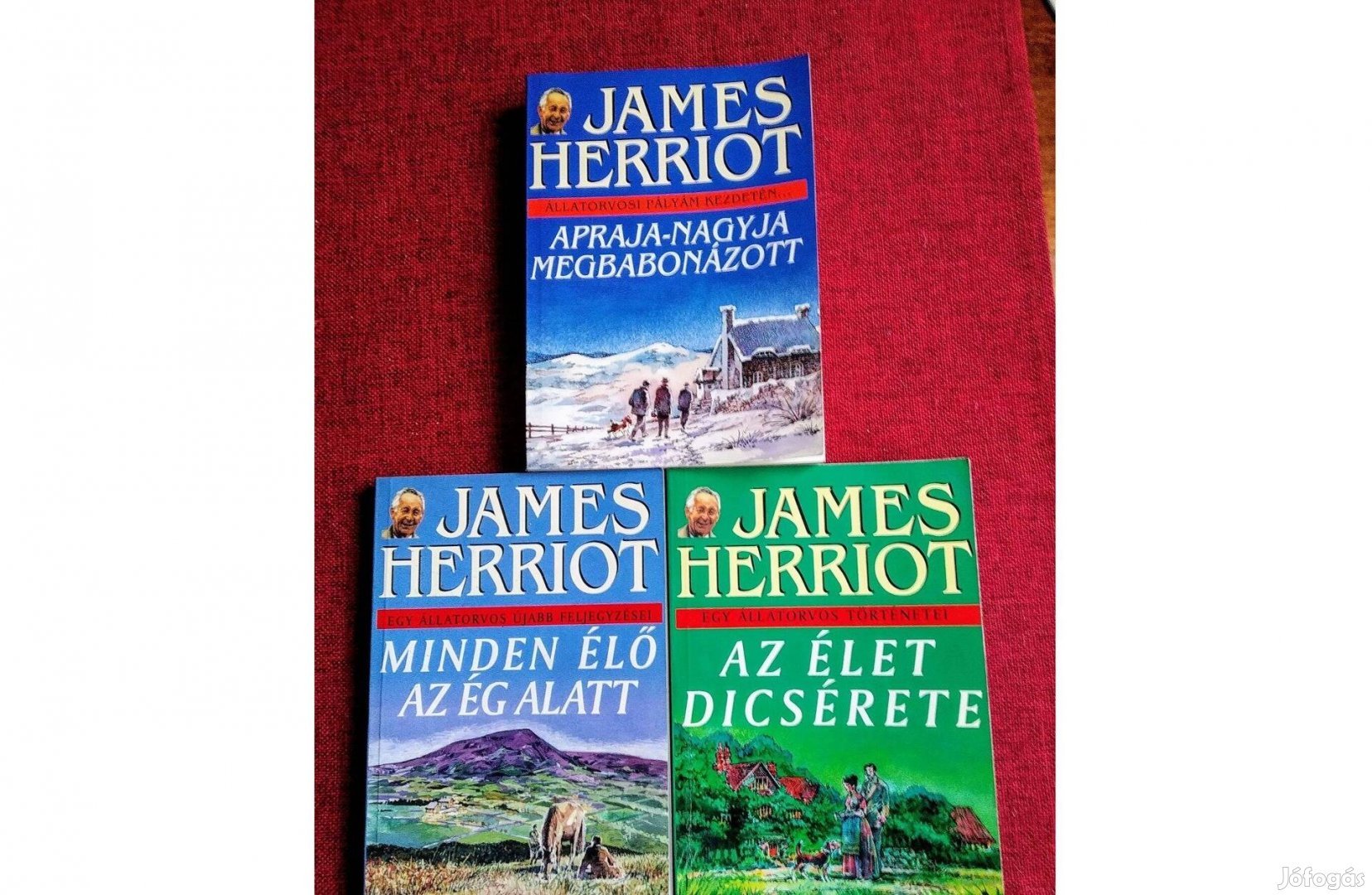 Apraja-nagyja megbabonázott James Herriot