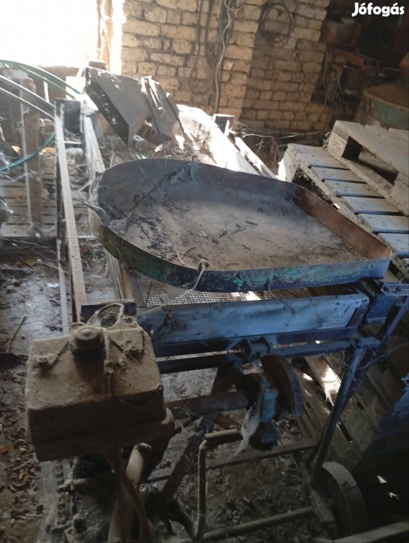 Apró hagyma rosta eladó 