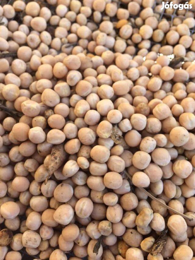 Aprószemű takarmány borsó