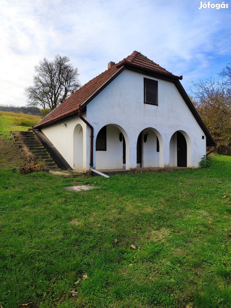 Árcsökkenés! Szekszárd, Palánki hegyen, Hárslevelű dűlő