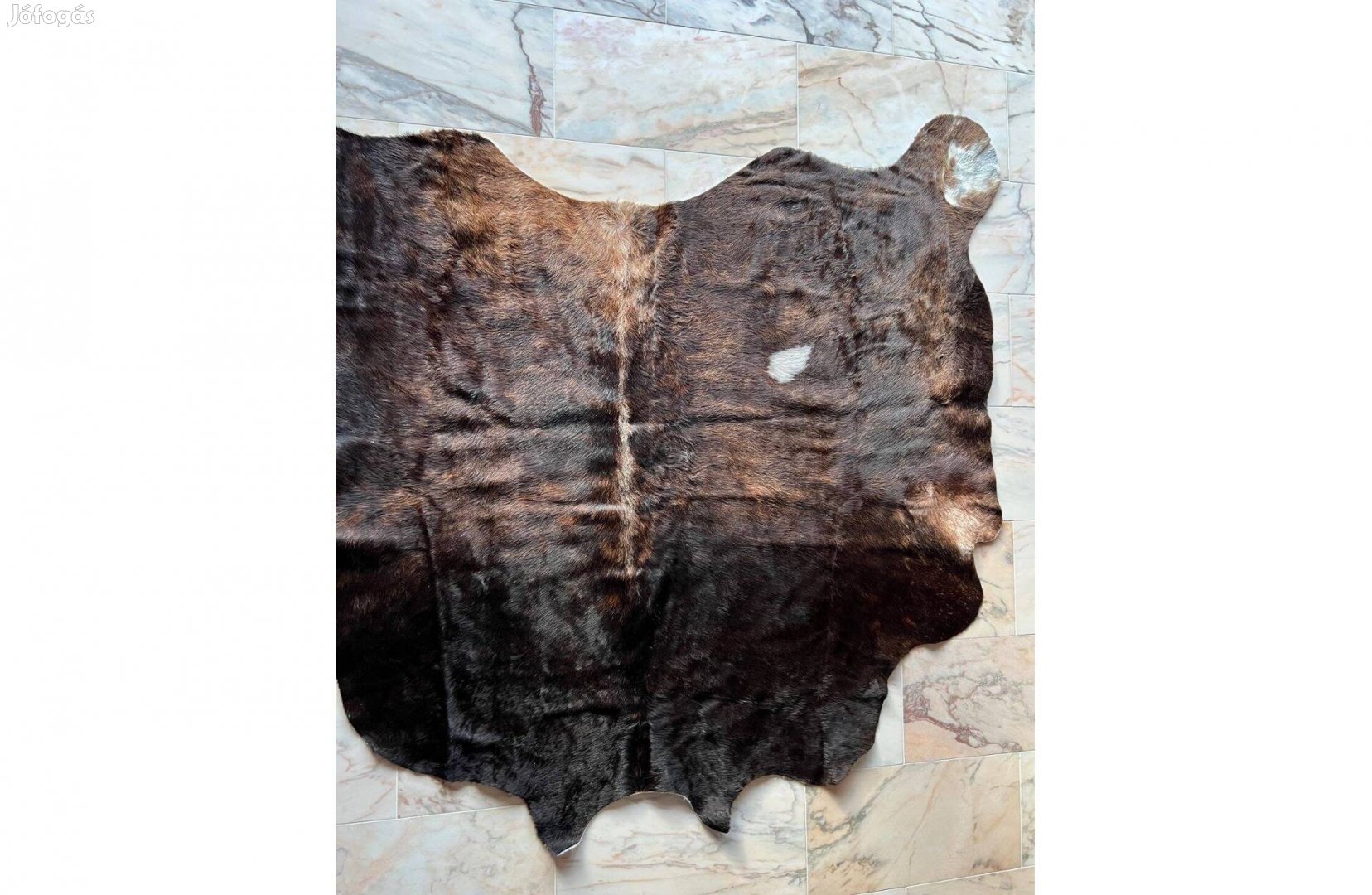 Argentin marhabőr szőnyeg eladó, szélesség 185×160 cm