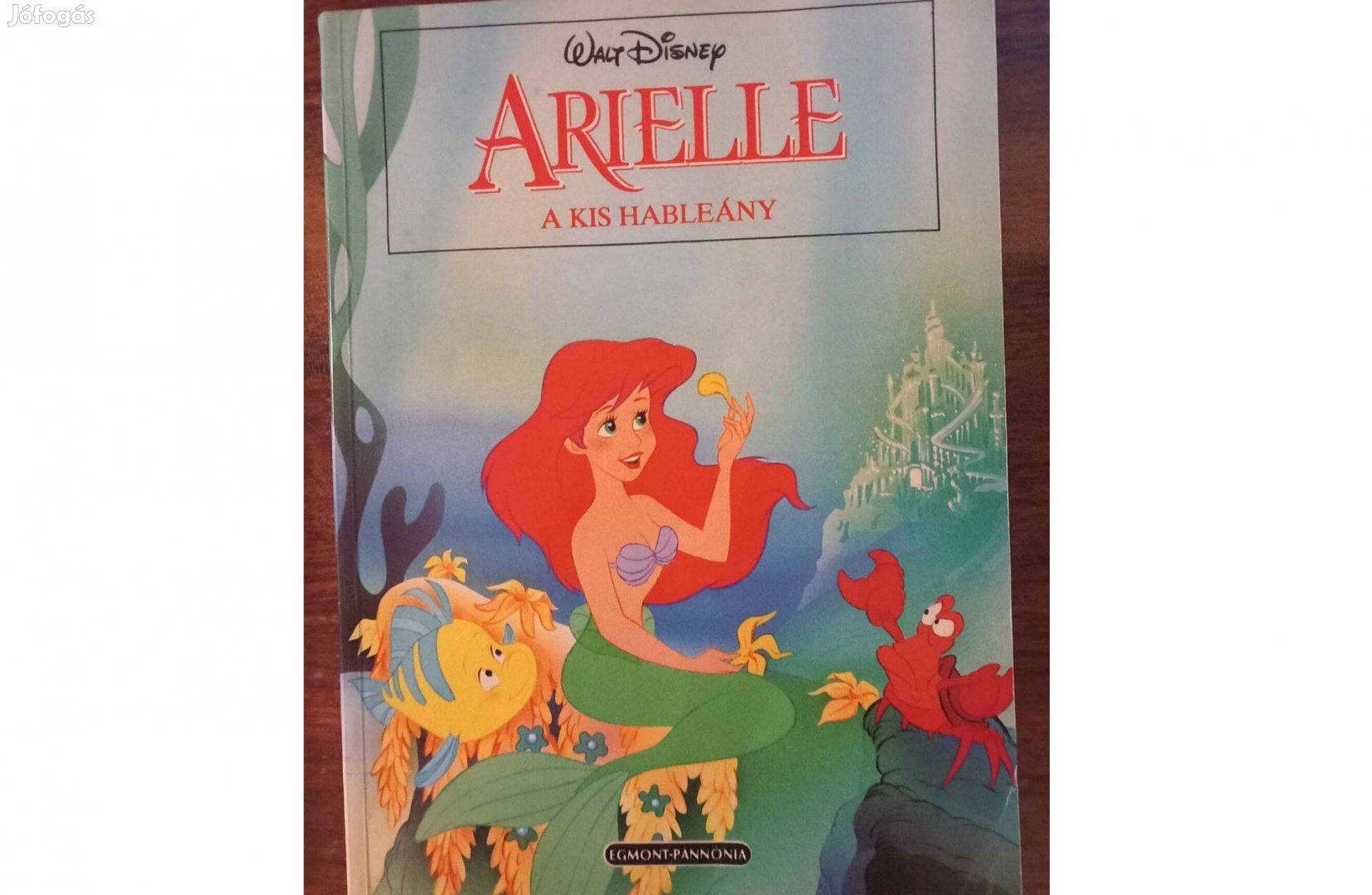 Arielle Disney könyv