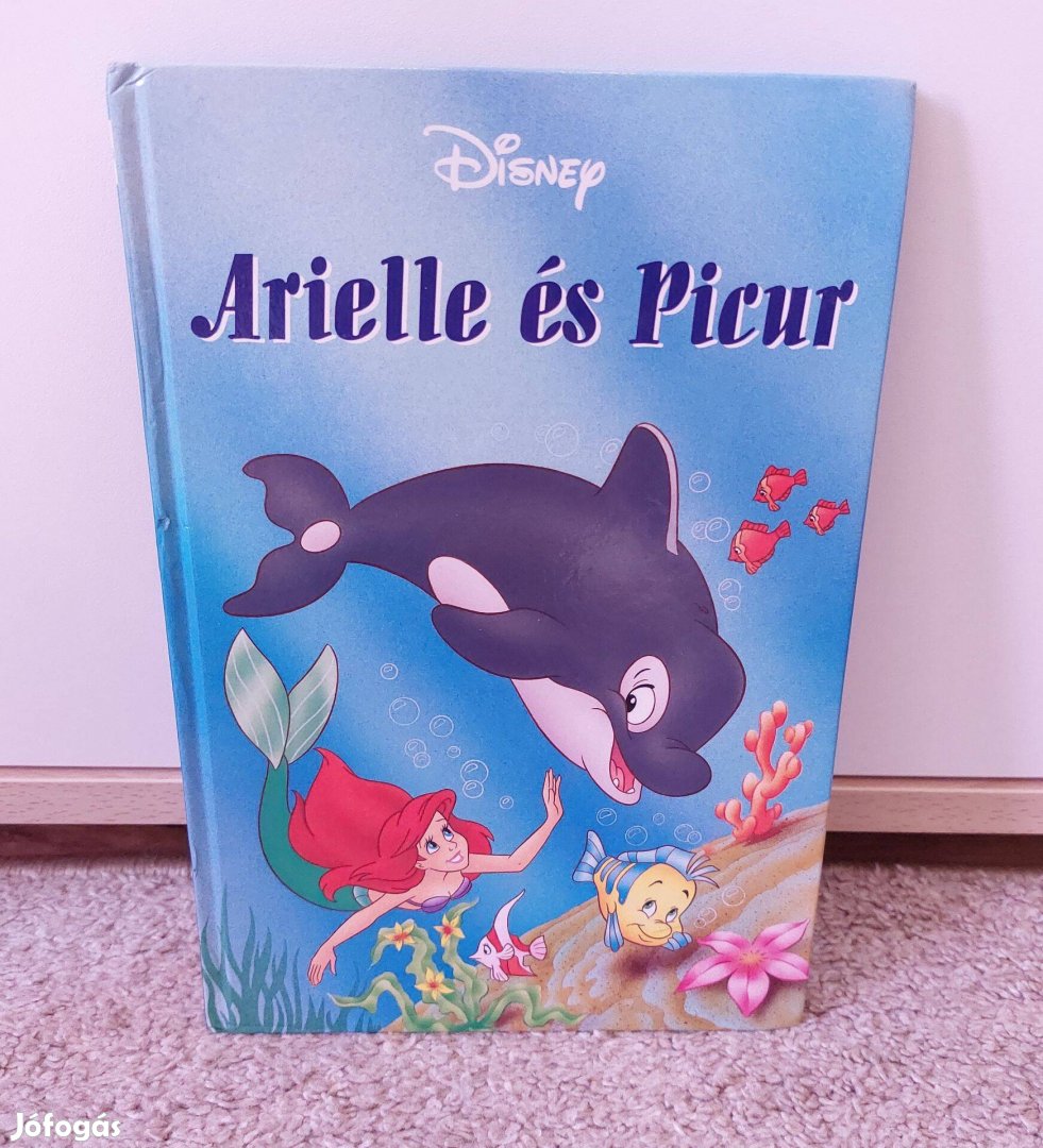 Arielle és Picur Disney gyerek könyv, mesekönyv