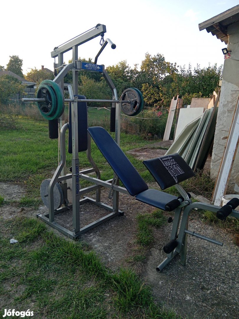 Arnold Maxx Gym kondigép