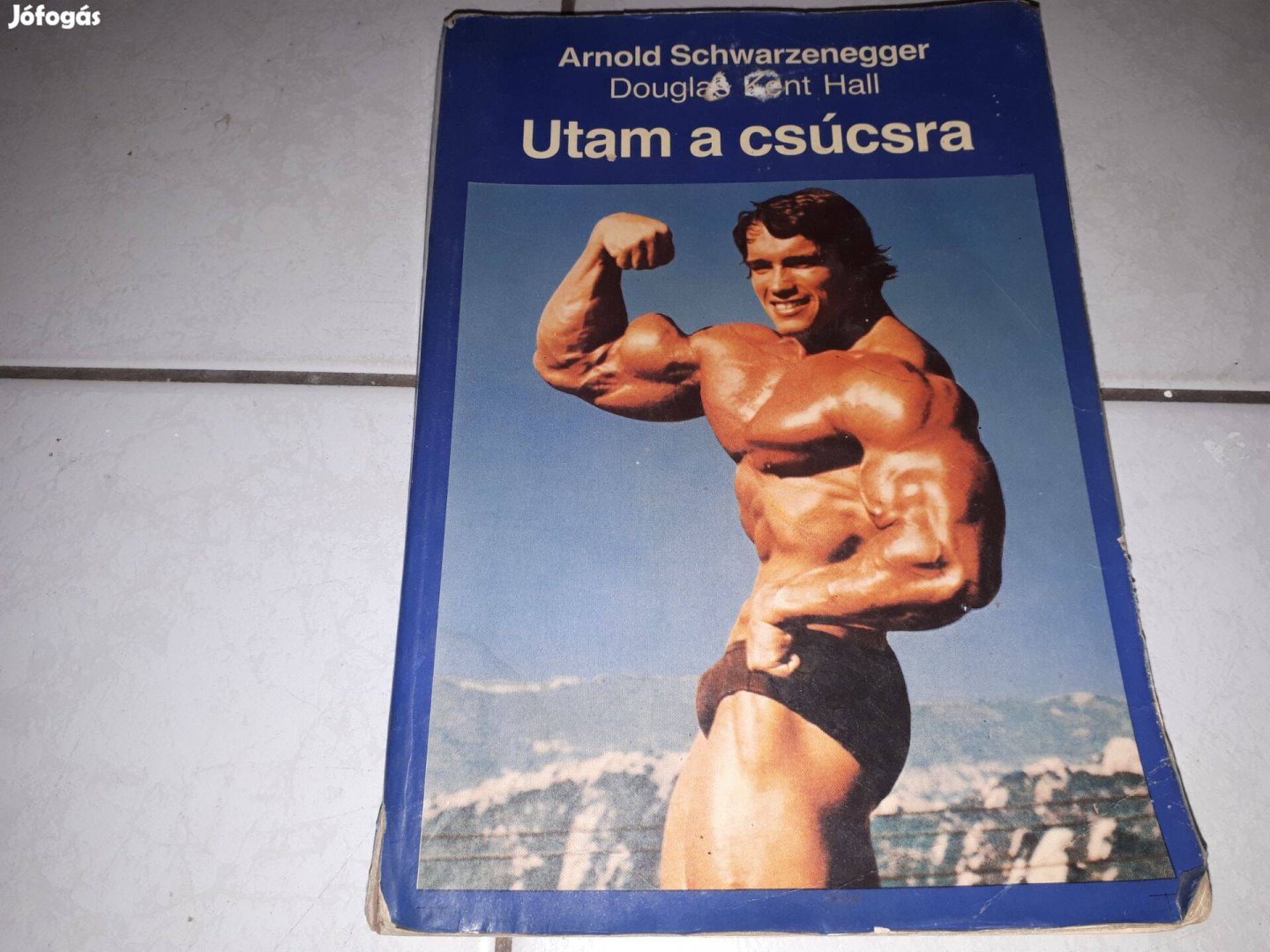 Arnold Schwarzenegger - Utam a csúcsra