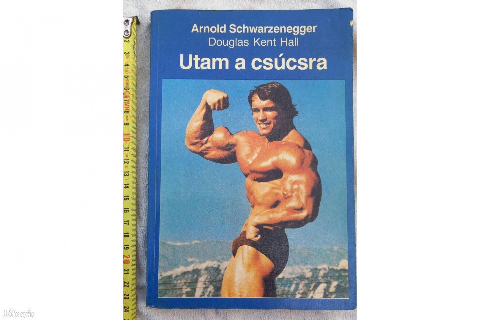 Arnold Schwarzenegger : Utam a csúcsra életrajzi könyv gls mpl is