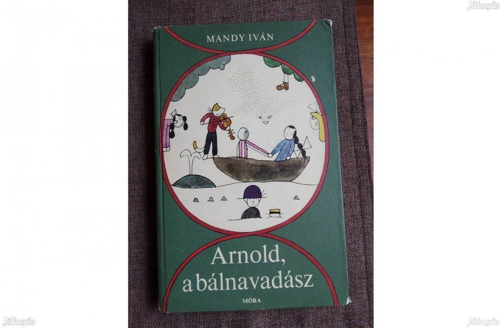 Arnold a bálnavadász Mándy Iván