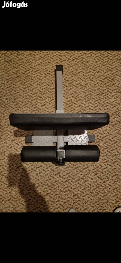 Arnold sissy guggoló