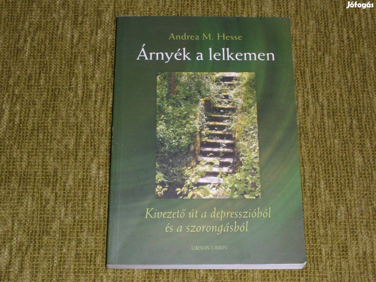 Árnyék a lelkemen - Kivezető út a depresszióból és a szorongásból