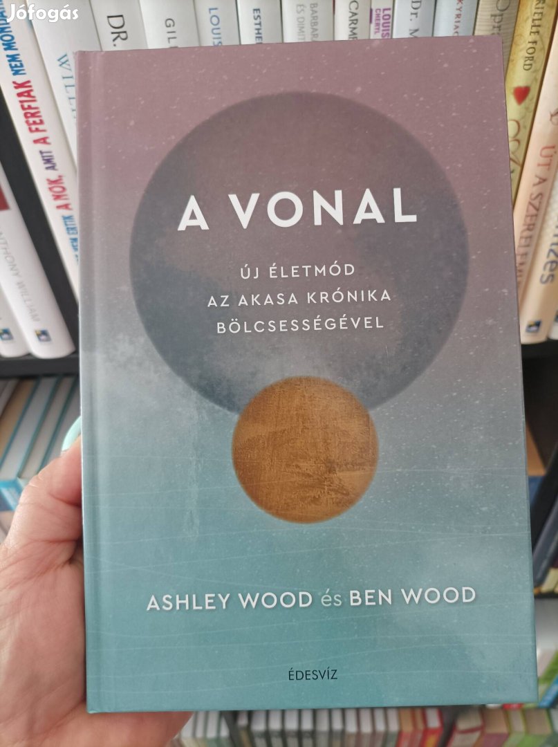 Ashley Wood és Ben Wood: A vonal 