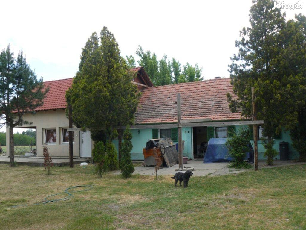 Ásotthalom gátsori, kétgenerációs, 140 nm-es tanya, 5754
