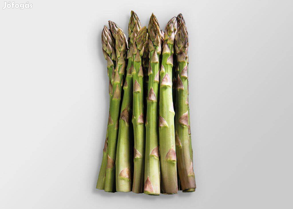 Aspalim spárgamagonc