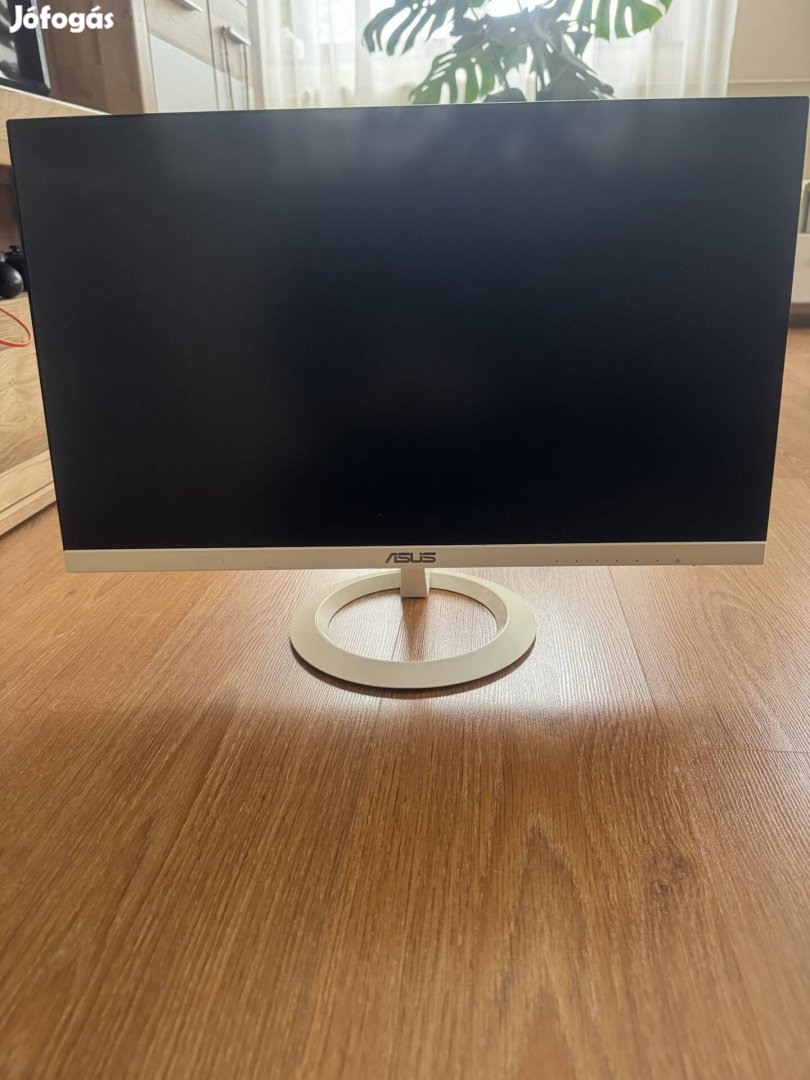 Asus LCD monitor