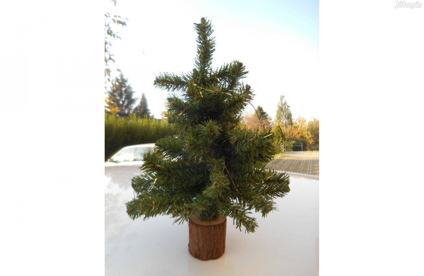 Asztali műfenyőfa, kicsi