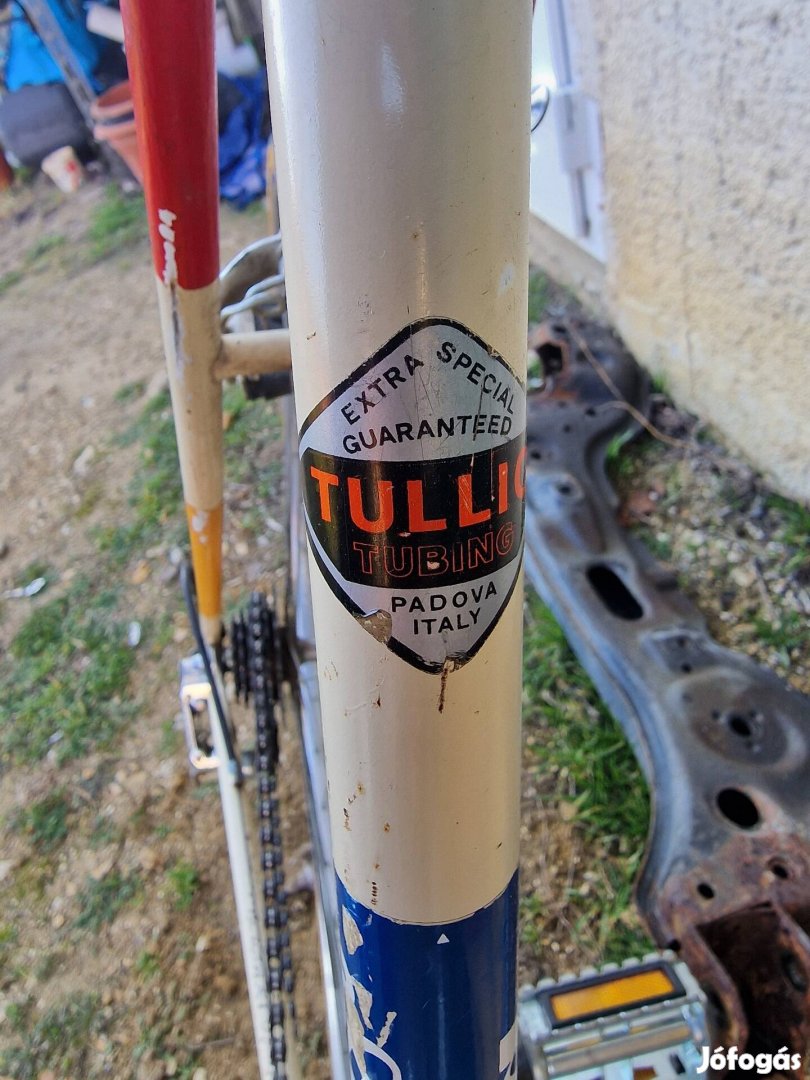 Atala corsa campa nuovo szettel 58as