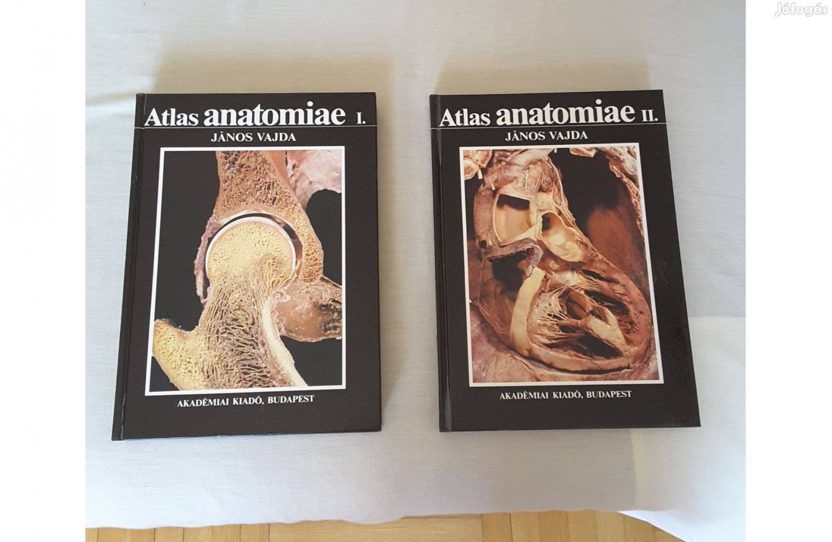 Atlas Anatomiae I-II. János Vajda Anatómiai atlaszok 1-2. egyben