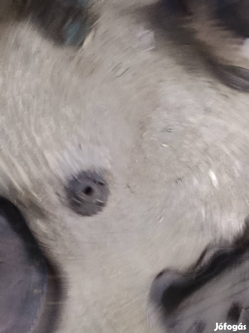 Audi VW 1.9Tdi Főtengely Fogaskerek (Postázom is)