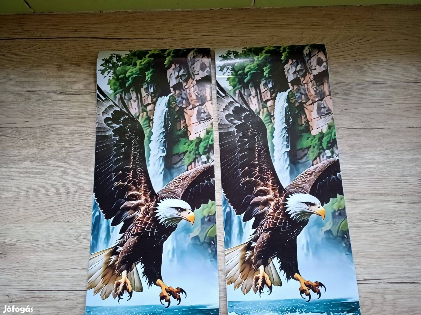 Autós matrica ajtóra 22x50 Eagle