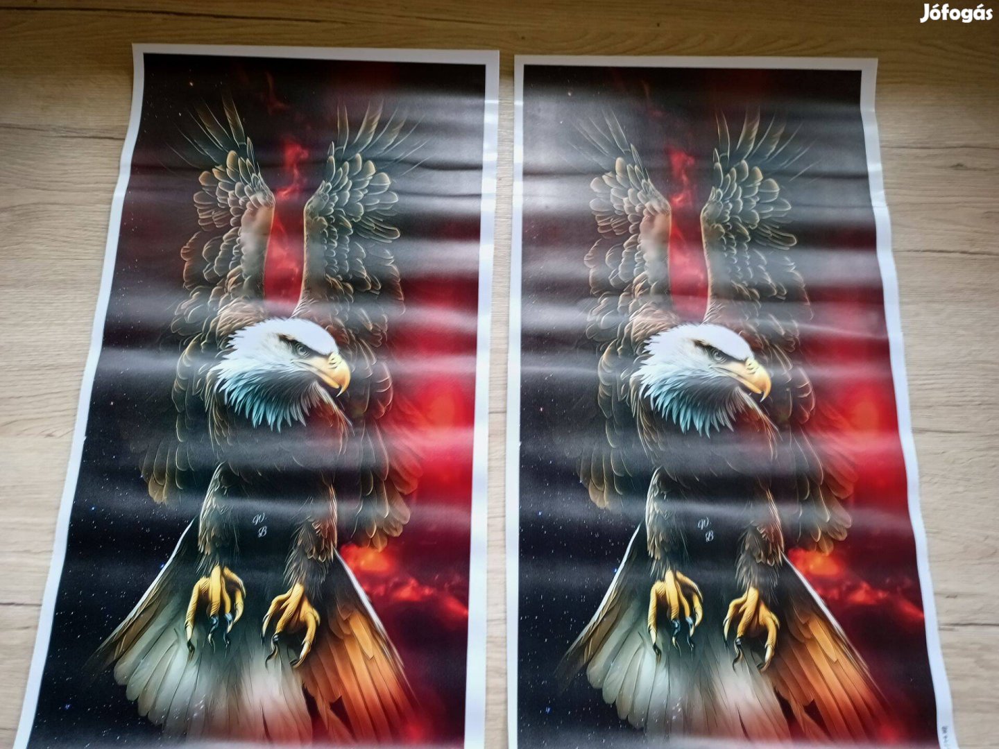 Autós matrica ajtóra 25x48 Red Eagle