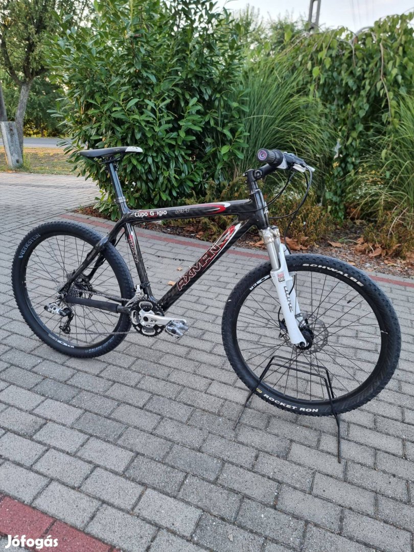 Axman M1 Carbon mtb