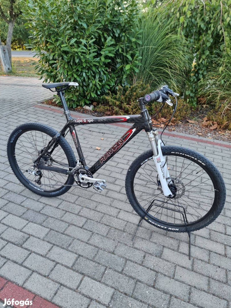 Axman X1 Carbon mtb