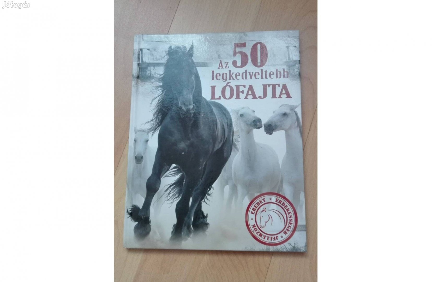 Az 50 legkedveltebb lófajta Erdélyi Magdolna