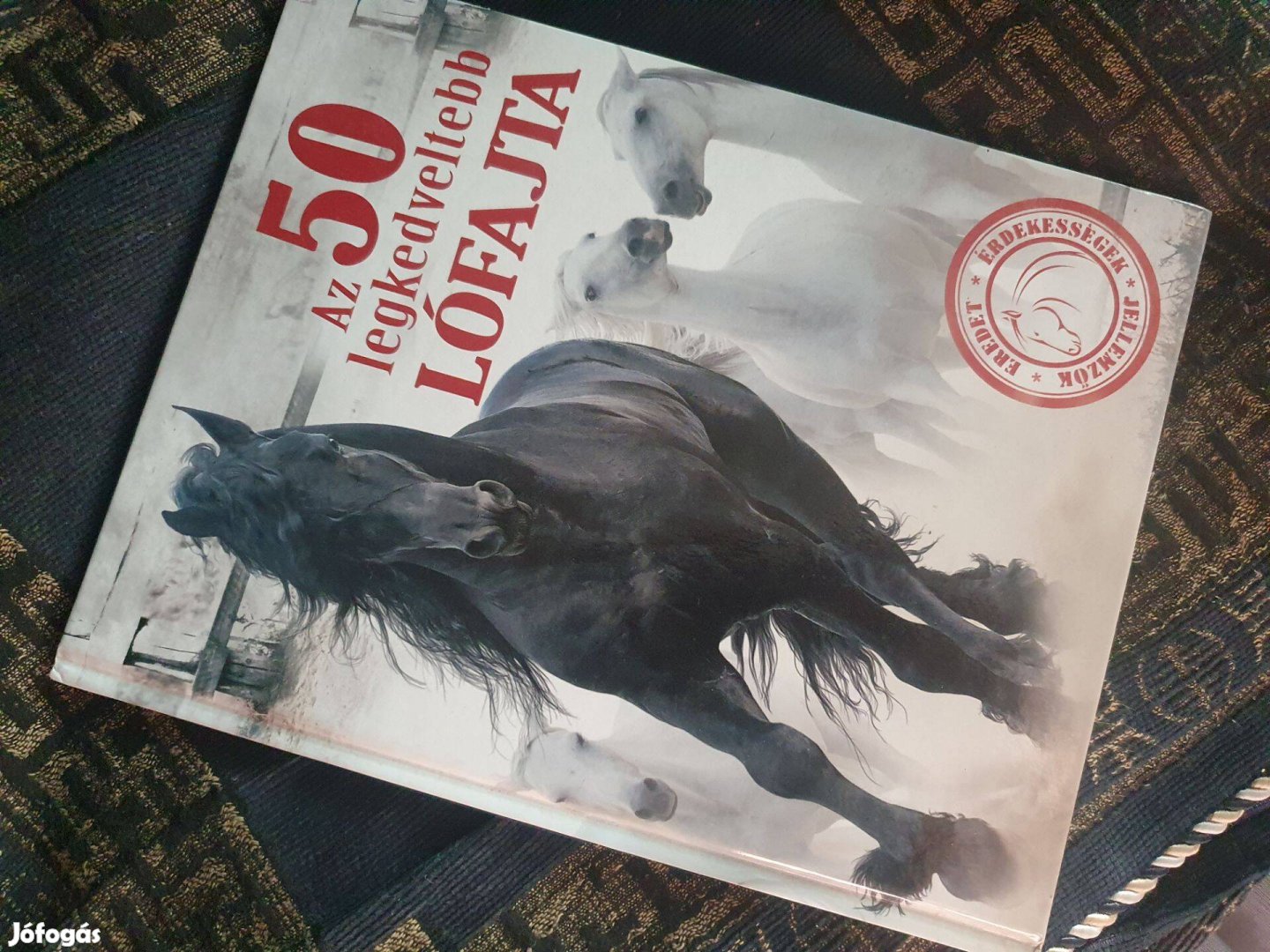 Az 50 legkedveltebb lófajta Ócsag I. Lóra, gyerekek!