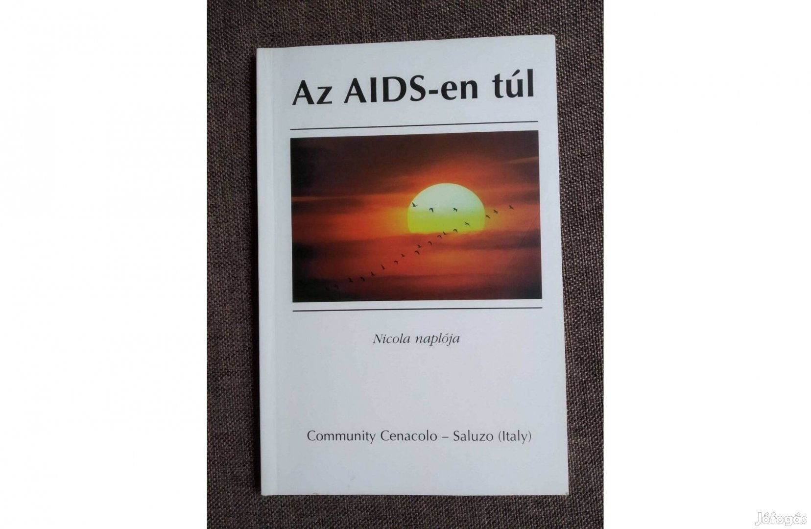 Az AIDS-en túl-Nicola naplója Petrozzi Elvira szerk Magánkiadás