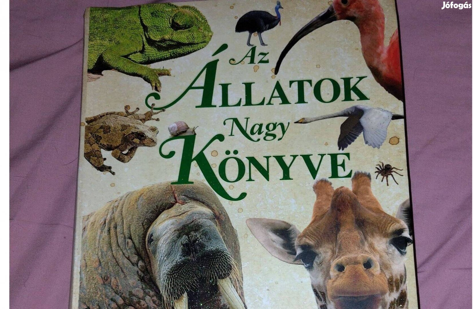 Az Állatok Nagy Könyve, képeskönyv
