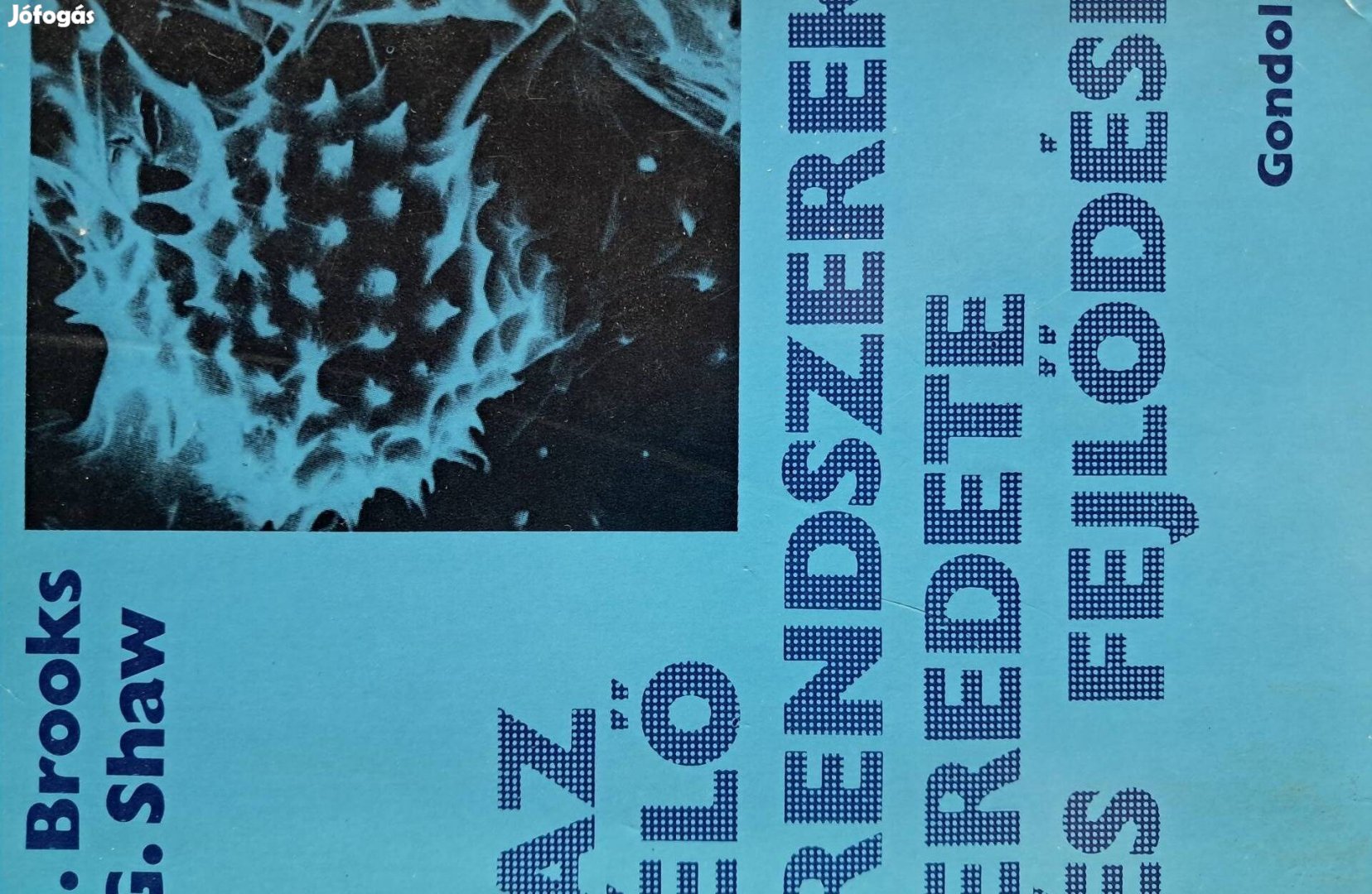 Az Élő Rendszerek Eredete És Fejlődése
